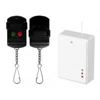 Sterownik radiowy RSU-Z2/2 GORKE