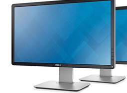 Monitory